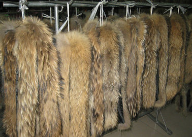 China De kraag van het wasbeerbont looide van de het bonthuid van de wasbeerhond het echte bont van de het haar Chinese Wasbeer lange leverancier