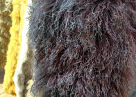 Echte Lange van de lamswol krullende schapen van de haarschapehuid Echte Mongoolse het bontdeken