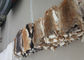 Van de Toebehorenrex van de laagvoering van de het Konijnhuid Vlotte Natuurlijke Bruine Kleur 25*35cm leverancier