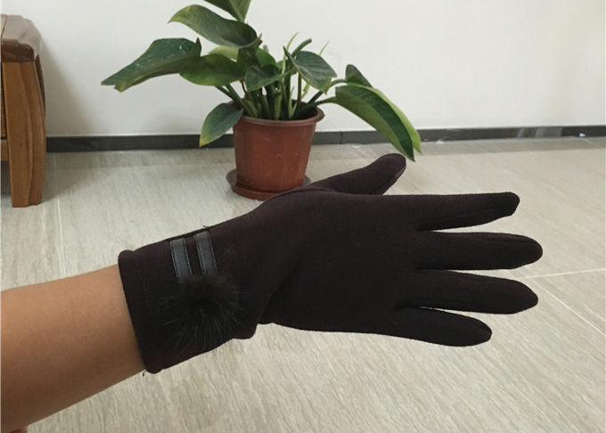 Uitstekende het Touche screen Compatibele Handschoenen 4060cm van pluchevrouwen voor de Winter Openlucht