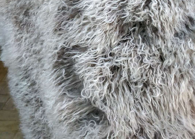 Het lange de wol Mongoolse witte bont Materiral van Haar Natuurlijke krullende schapen voor bed werpt