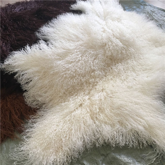 Echte Lange van de lamswol krullende schapen van de haarschapehuid Echte Mongoolse het bontdeken