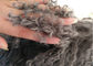 Woonkamer het Hoofdkussen Lang Krullend Haar van het 16 Duim Mongools Bont met Micro- Suèdevoering leverancier