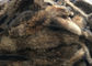 De natuurlijke van de het Bontkraag van de Kleurenwasbeer Ruwe Huid een Rang 70 - 105cm voor Kledingstuk/Huistextiel leverancier