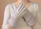 De Gevoerde Handschoenen van waterdichte Vrouwen Shearling, Handschoenen van de Dames de Grijze Schapehuid  leverancier