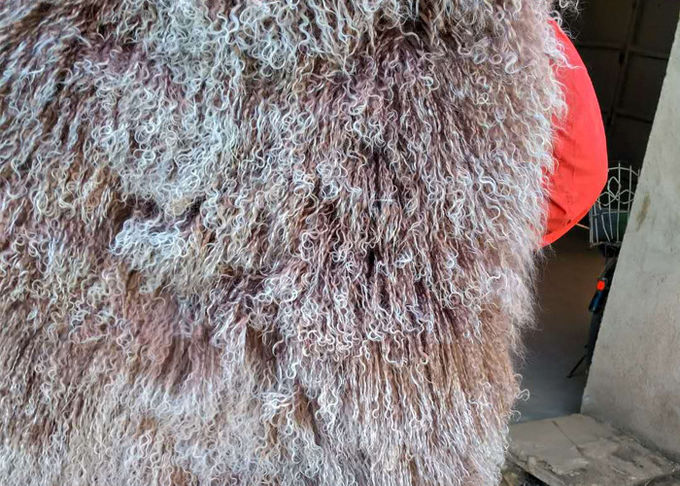 De Mongoolse schapehuidhuid 100% snakt van het het Lamsbont van haartibet Dekking van de de wolplaat de Krullende